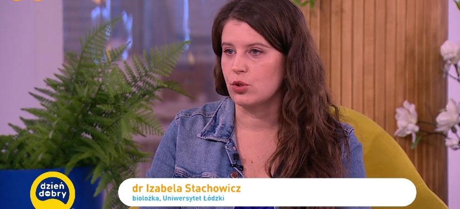 Izabela Stachowicz in Dzień Dobry TVN