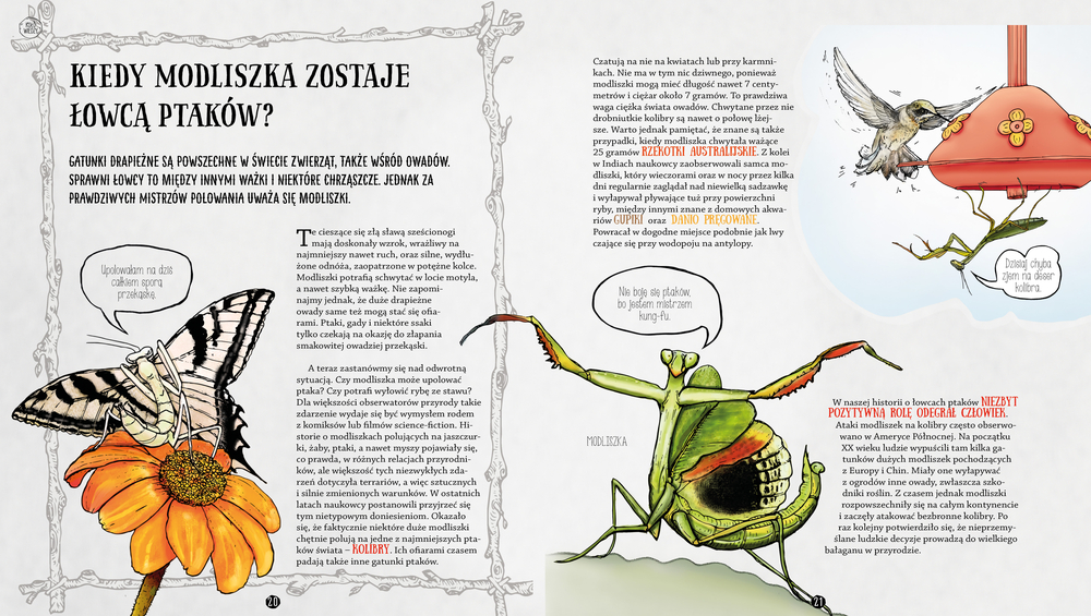 A page of one of the children's books about insects, with a praying mantis